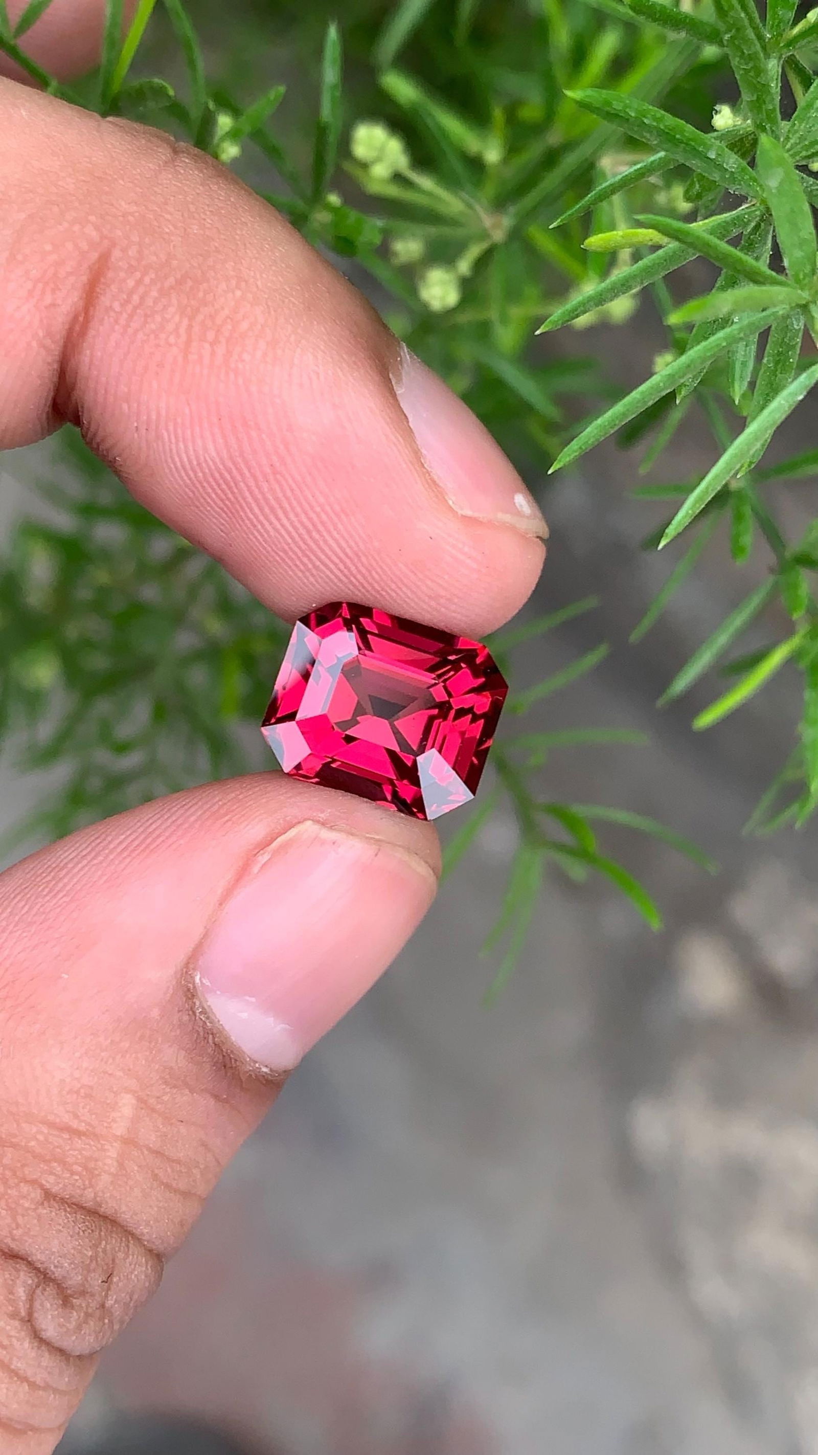 Tanzania Bloody Red Garnet Gemstone: Emerald Cut, 6.33 Carat: Title:Tanzania Bloody Red Garnet Gemstone: Emerald Cut, 6.33 Carat Description:Materials: Gemstone: Garnet Carat weight: 6.66 • Weight : 6.33 carat • Dimension : 11*9.4*7.1 MM • Shap