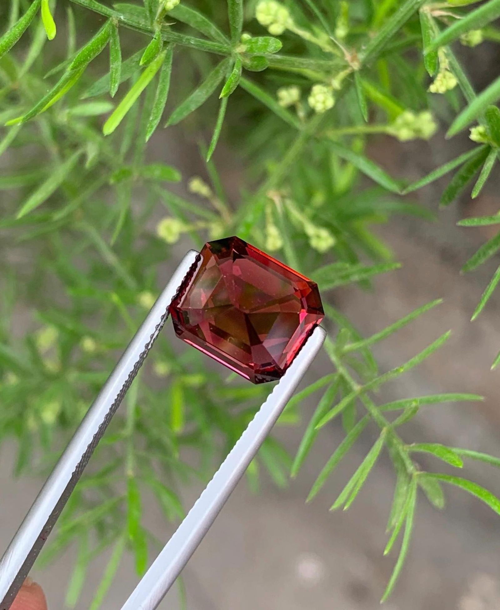 Tanzania Bloody Red Garnet Gemstone: Emerald Cut, 6.33 Carat - 5