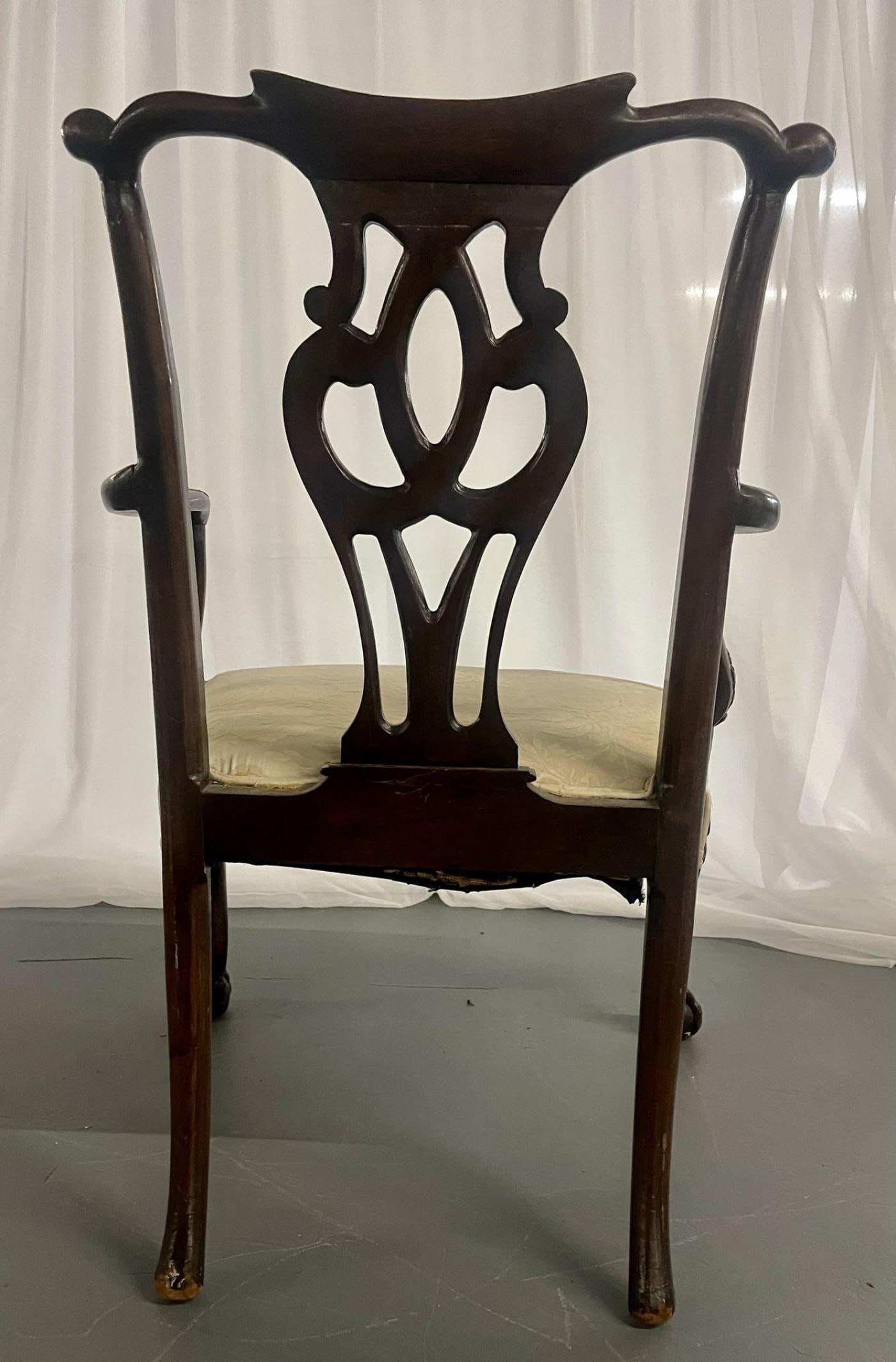 Georgian Arm, Office Chair. Ball and Claw - 11