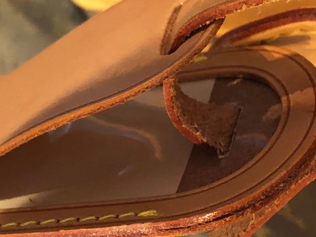 Louis Vuitton Dog Carrier 40 Monogram Canvas Luggage Bag - 6