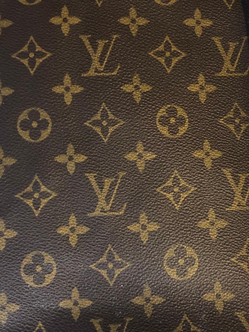 Louis Vuitton Dog Carrier 40 Monogram Canvas Luggage Bag - 8