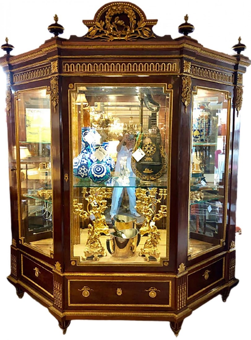 19th Century Mahogany Vitrine Armiore Cabinet by Guillaume Grohe - 3