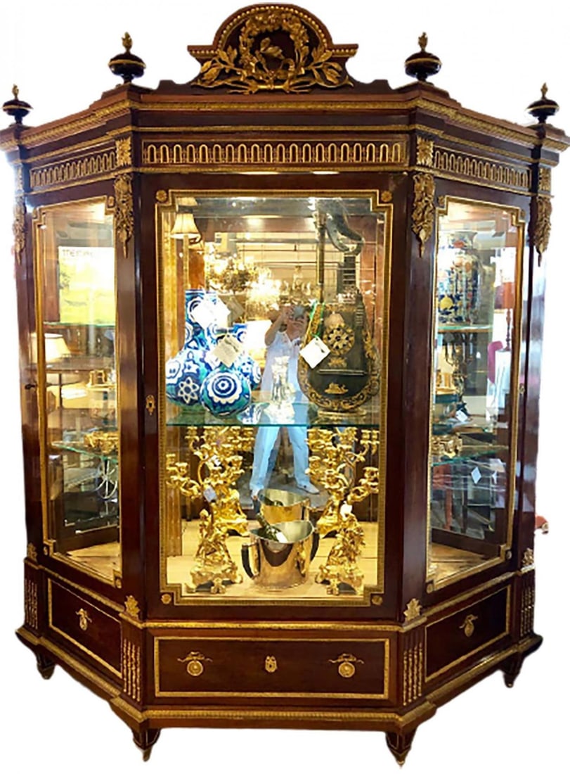 19th Century Mahogany Vitrine Armiore Cabinet by Guillaume Grohe - 4