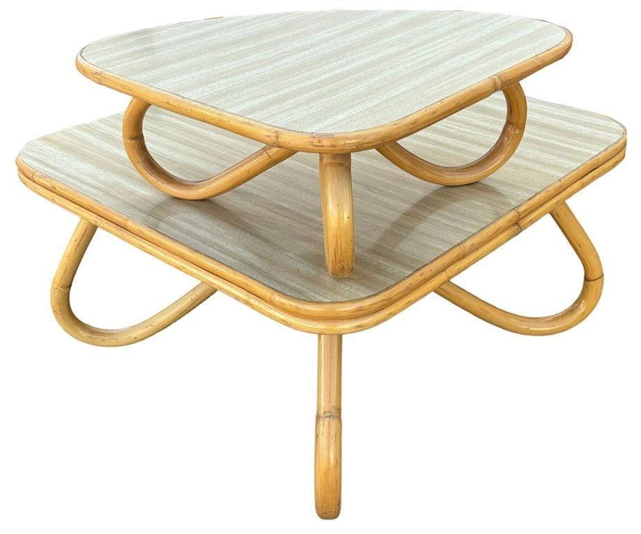 Restored Rattan Loop Leg Livingroom Set - 20