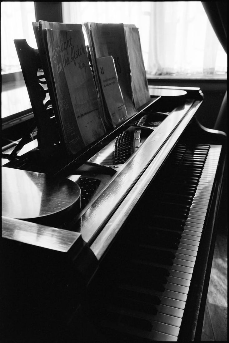 Piana, Felbrigg Hall, Norfolk - Silver Gelatin: Title: Piana, Felbrigg Hall, Norfolk - Silver Gelatin Description: Title: Piana, Felbrigg Hall, Norfolk - Silver Gelatin Photograph - Limited Edition of 10 Artist: Paul Cooklin Origin: United Kingdom