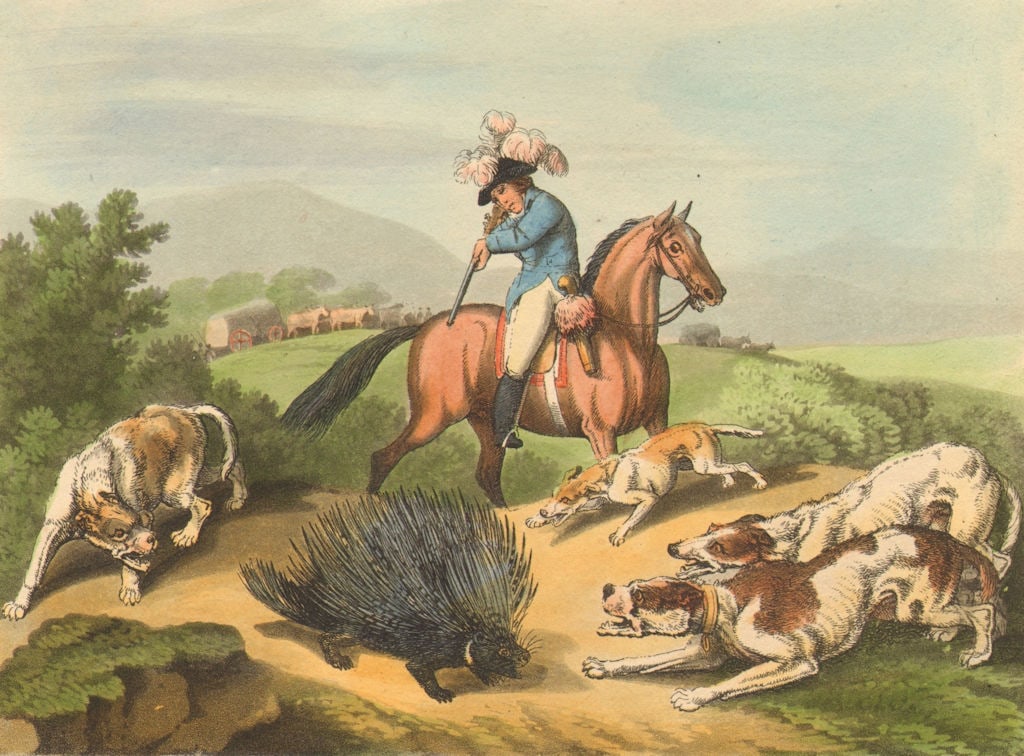 AFRICA. Shooting Porcupine. Horse. Dogs. Wagon. Rifle (Edward Orme) 1814 (1 of 1)