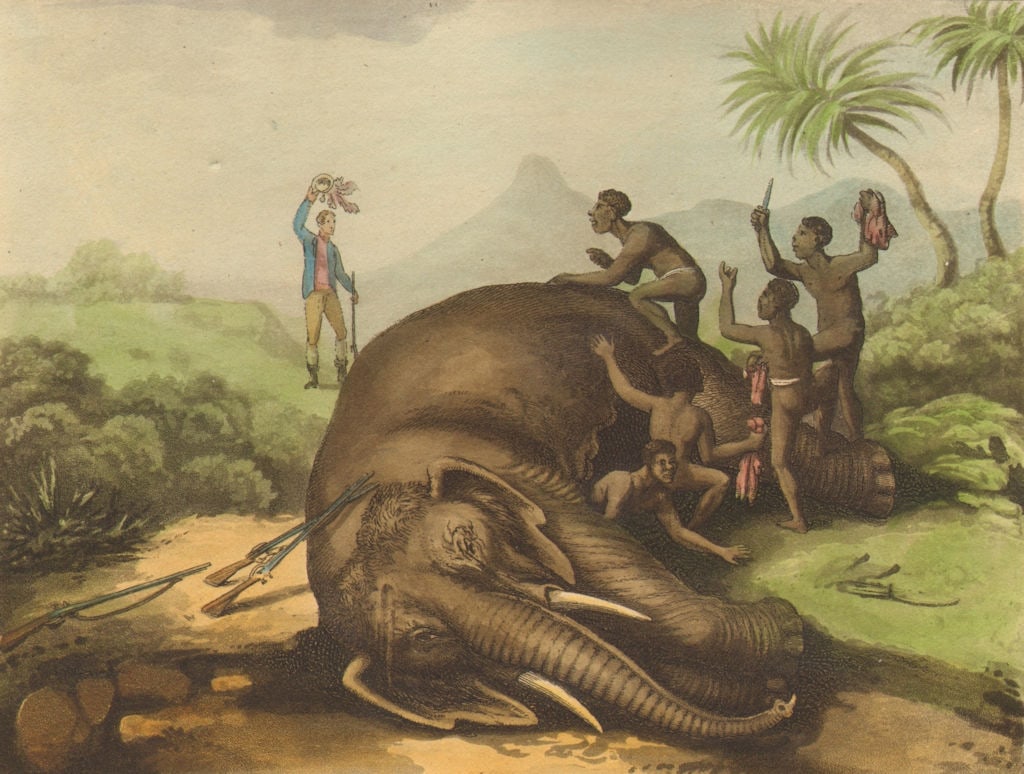 SOUTH AFRICA. Elephant killed dead. Hunter Hottentots Khoikhoi (Orme) 1814: The Elephant Killed'. Howitt del; Howitt & Merke sculpt. Published 1814. Antique aquatint print with original hand colouring, borders and wide margins. Size 13 x 18 cm | 5.0 x 7.0 inches. Condition: G