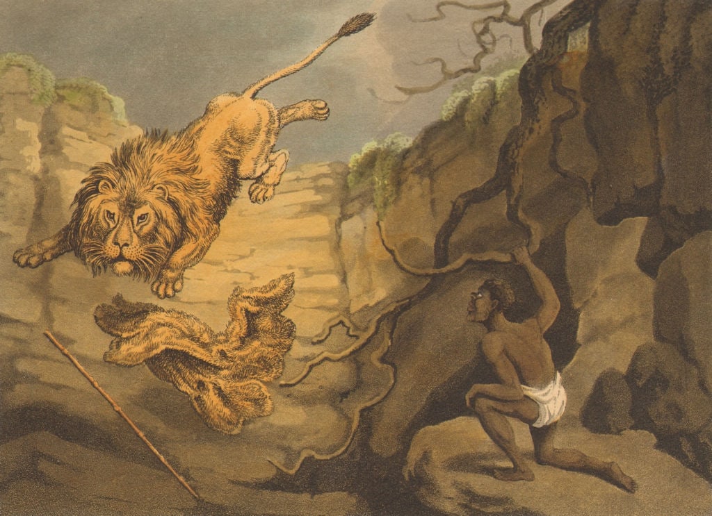 SOUTH AFRICA. Hottentot Khoikhoi killing lion with krosse cloak (Orme) 1814 (1 of 1)