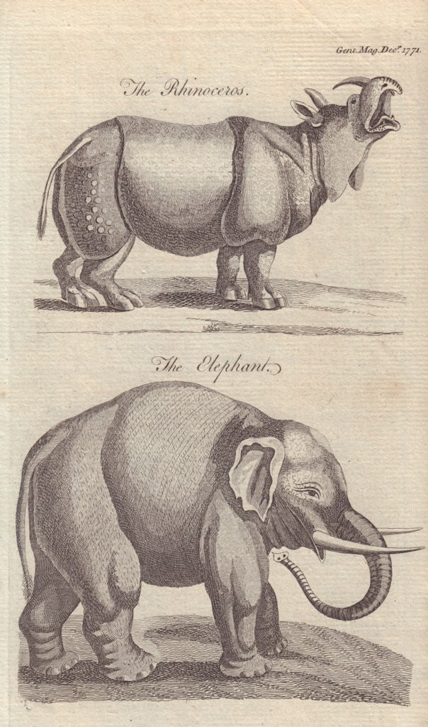 The Rhinoceros. The Elephant. 18th century African mammals print 1771: The Rhinoceros. The Elephant' by Anonymous. Published 1771. Antique copperplate print. Size 19 x 11 cm | 7.5 x 4.5 inches. Condition: Good; suitable for framing. Please check the scan for any blemishe