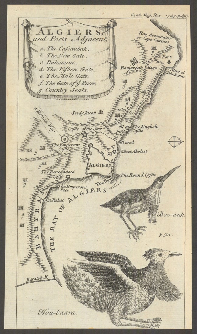 Algiers and Parts adjacent. Gentleman's magazine. Bittern & Houbara 1749 map: Algiers and Parts adjacent. [A Bird called] Boo-ank, [The Little Bittern Ardeaminuta. A bird called] Houbaara, [The Little Crested Bustard, Ottis Houbara] by Anonymous. Published 1749. Antique copperp