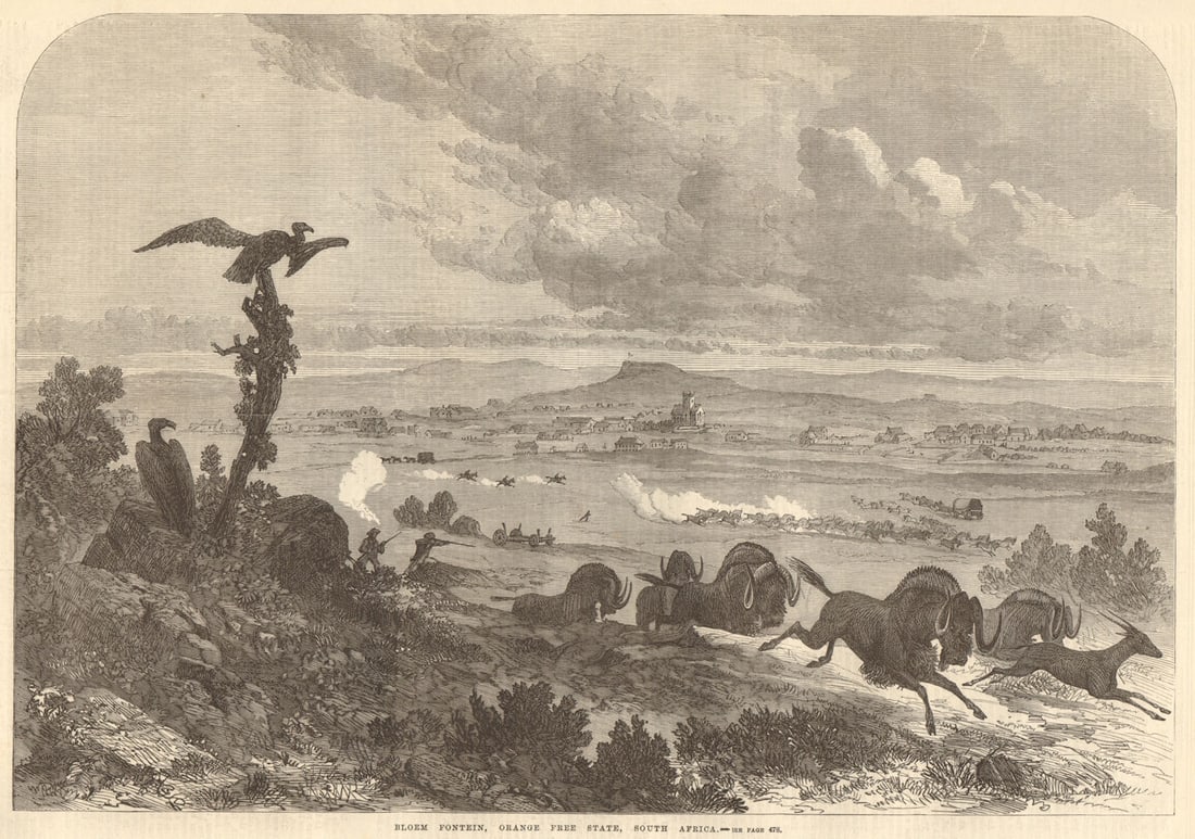Bloemfontein, Orange Free State, South Africa 1868 old antique print picture: Bloemfontein, Orange Free State, South Africa' by Illustrated London News. Published 14 November 1868. Antique wood-engraved print. Illustrated London News full page from 14 November 1868. Size 39 x 2