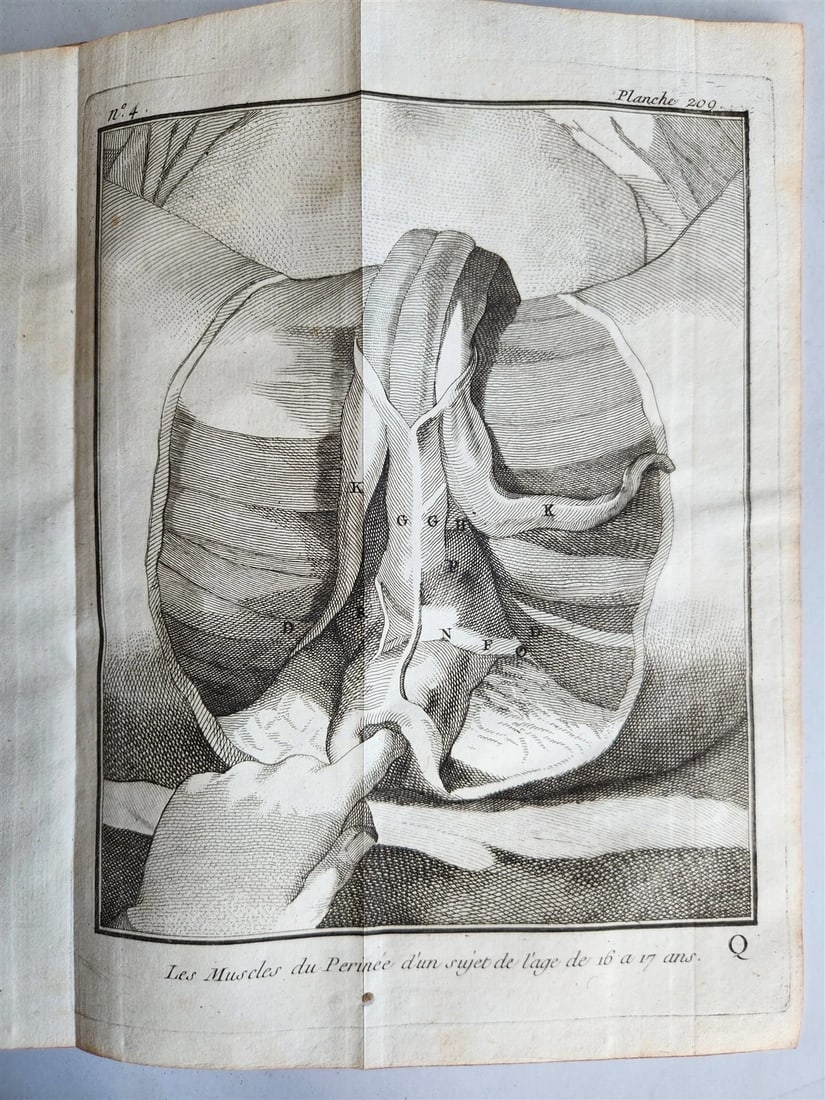 1770 MEDICAL TREATISE ILLUSTRATED ANATOMY by Francois PLANQUE antique V. 10 - 14