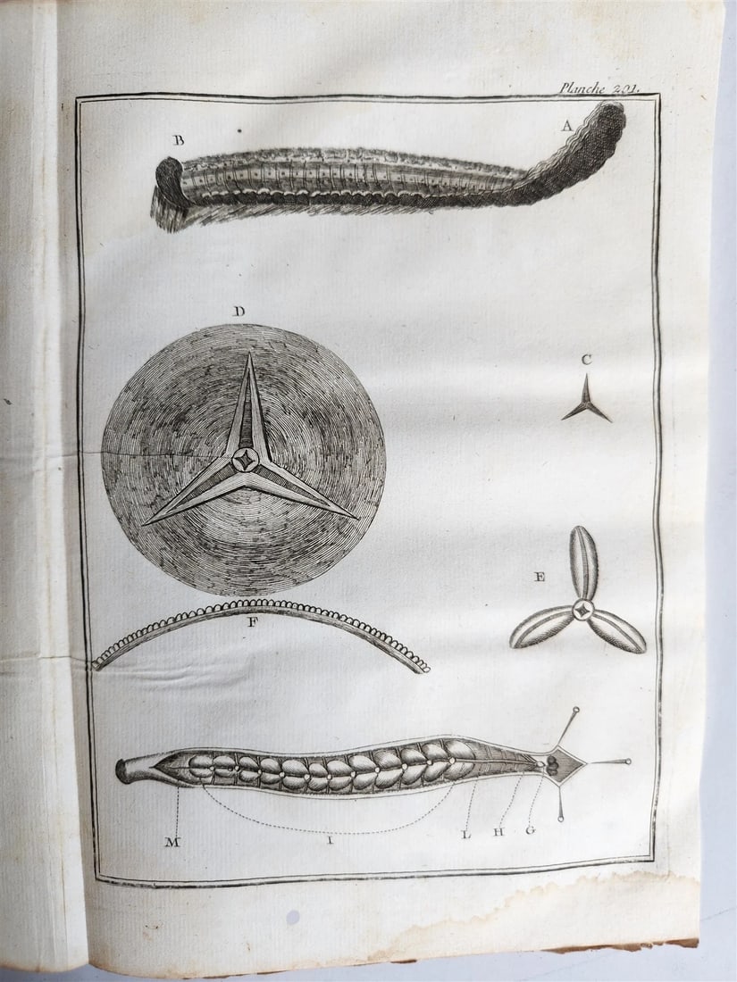 1770 MEDICAL TREATISE ILLUSTRATED ANATOMY by Francois PLANQUE antique V. 10 - 6