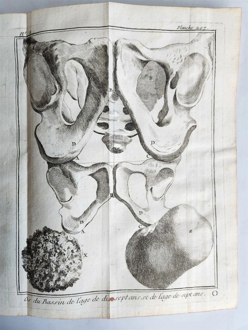 1770 MEDICAL TREATISE ILLUSTRATED ANATOMY by Francois PLANQUE antique V. 10 - 7