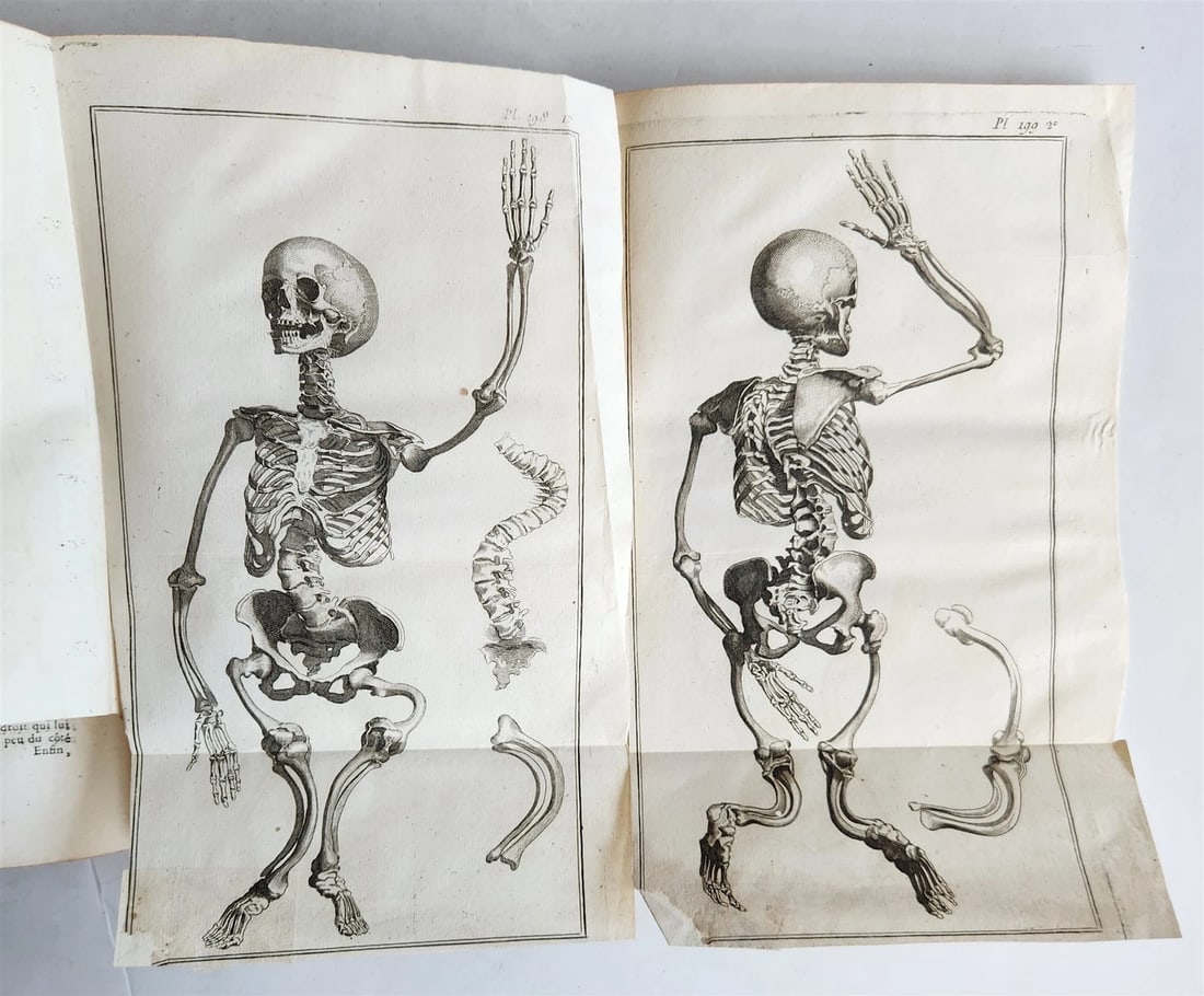 1766 MEDICAL TREATISE ILLUSTRATED ANATOMY by Francois PLANQUE antique V. 9 - 2