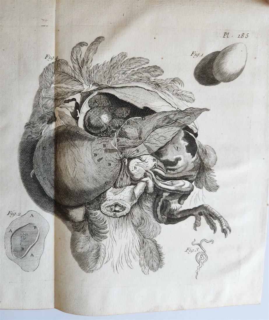 1766 MEDICAL TREATISE ILLUSTRATED ANATOMY by Francois PLANQUE antique V. 9 - 8
