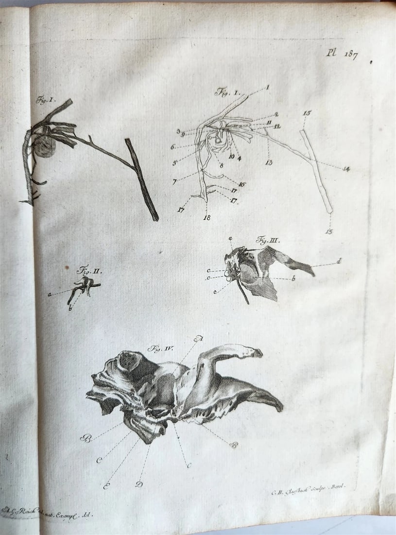 1766 MEDICAL TREATISE ILLUSTRATED ANATOMY by Francois PLANQUE antique V. 9 - 9