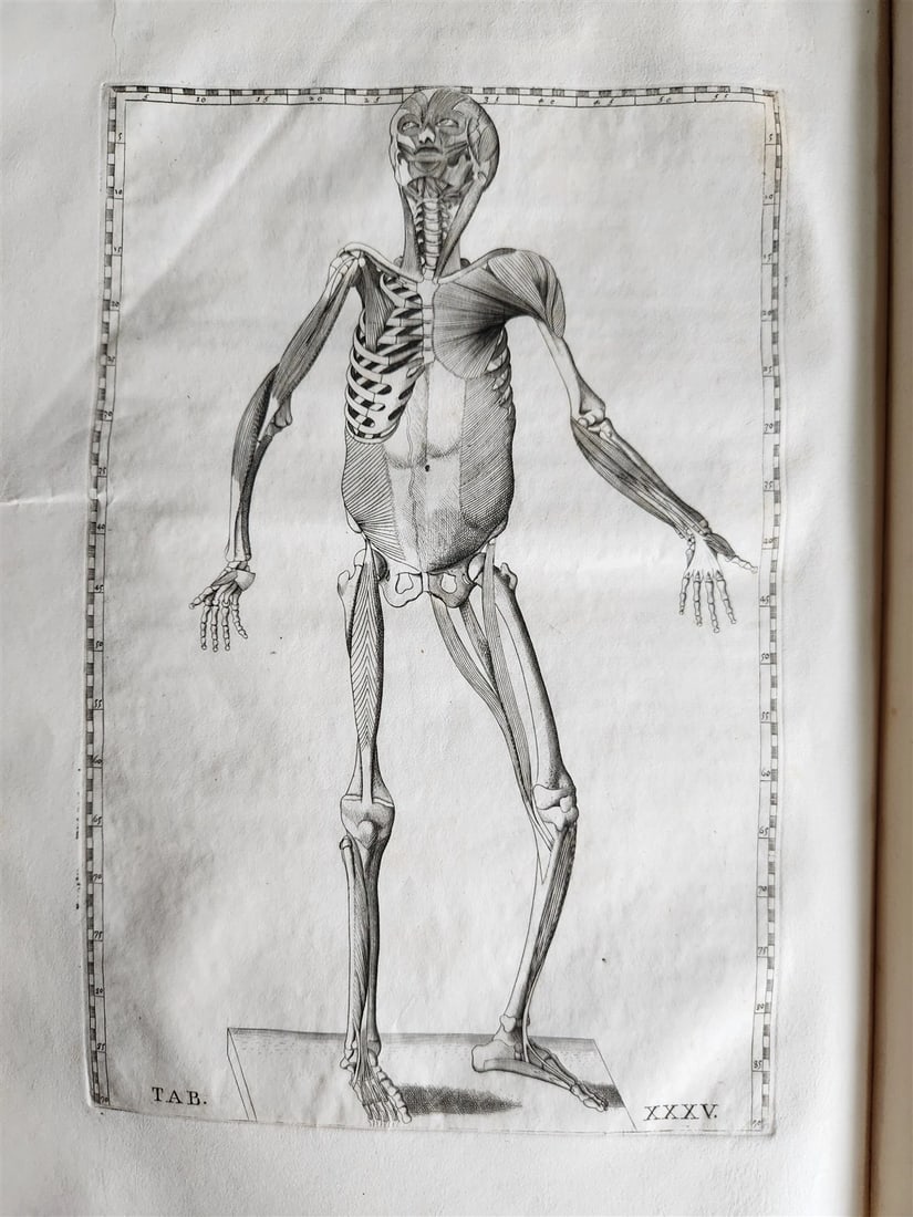 1728 ANATOMICAL TABLES by EUSTACHI antique Tabulae Anatomicae 47 PLATES FOLIO - 11