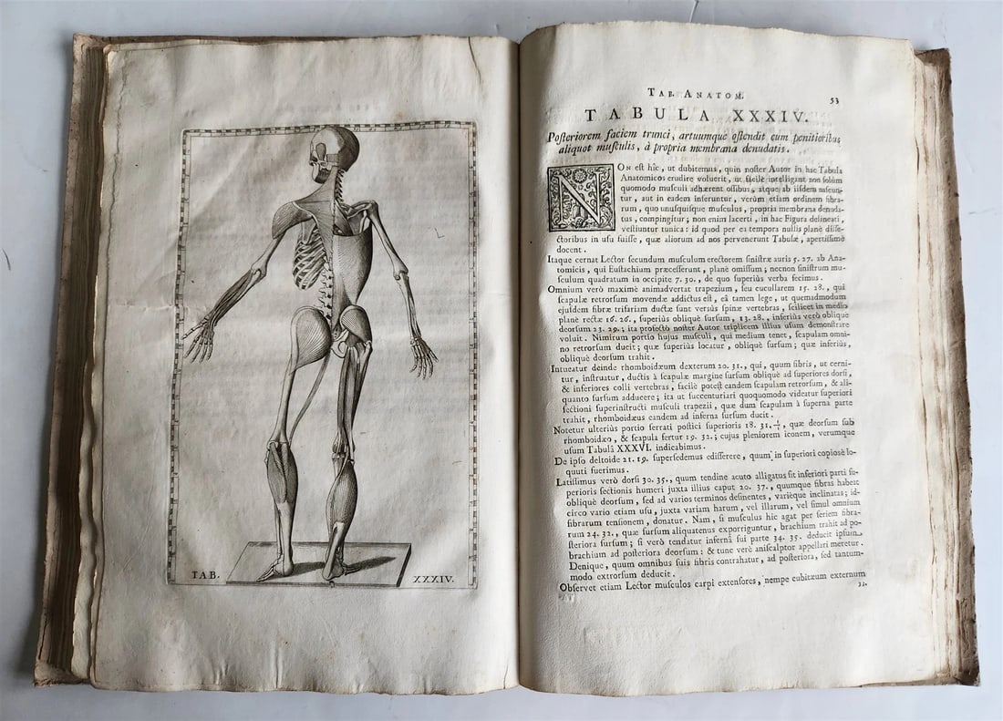 1728 ANATOMICAL TABLES by EUSTACHI antique Tabulae Anatomicae 47 PLATES FOLIO - 12