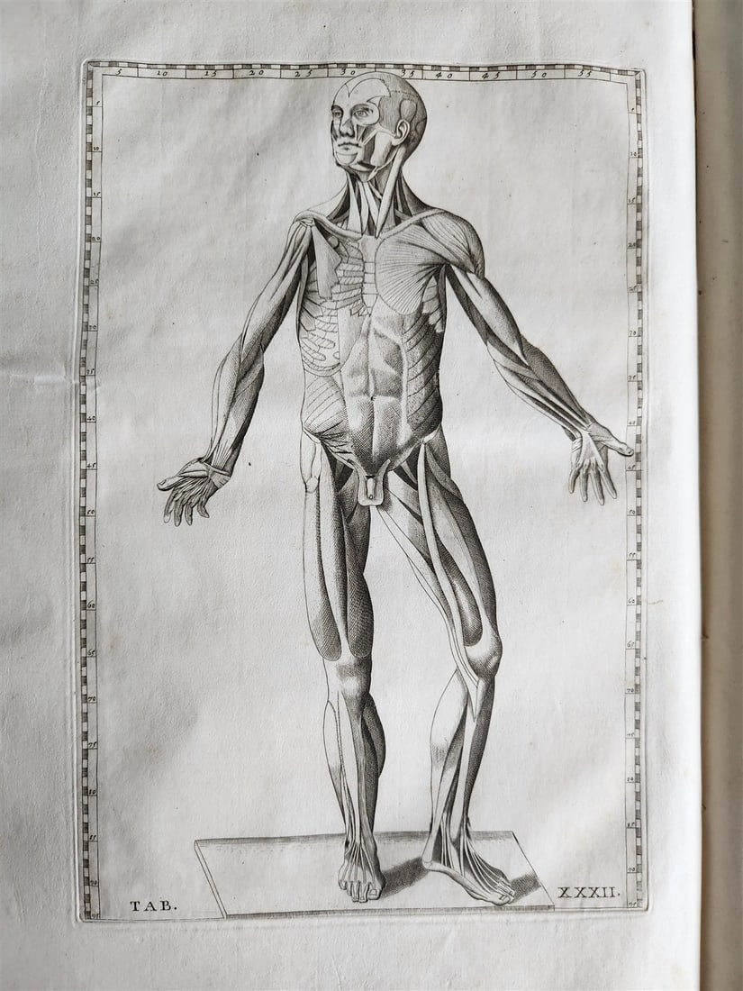 1728 ANATOMICAL TABLES by EUSTACHI antique Tabulae Anatomicae 47 PLATES FOLIO - 14