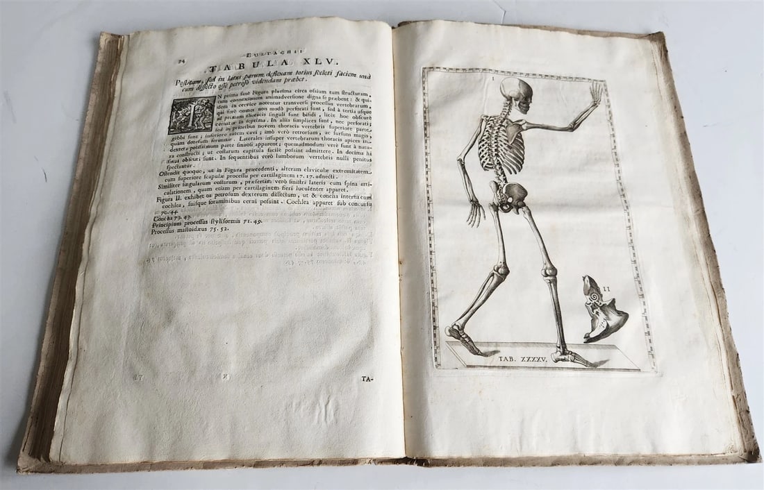 1728 ANATOMICAL TABLES by EUSTACHI antique Tabulae Anatomicae 47 PLATES FOLIO - 3