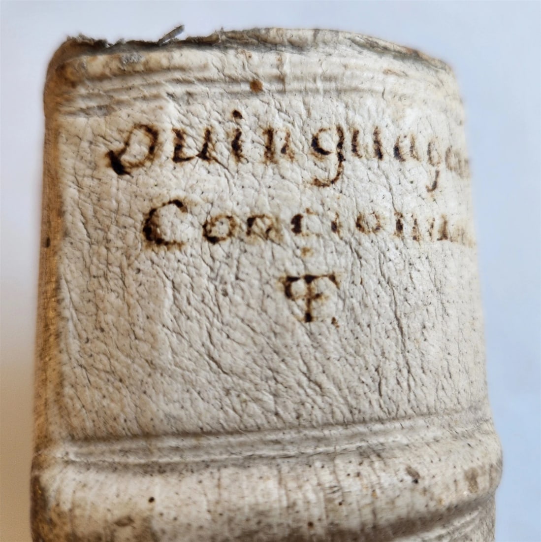 1684 MANUSCRIPT - SERMONS antique PIGSKIN BOUND by Philipp Jacob Franz AUSTRIA - 5