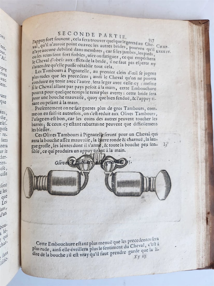 1680 COMPLEAT HORSEMAN antique ILLUSTRATED Le parfait mareschal by J. SOLLEYSEL - 12