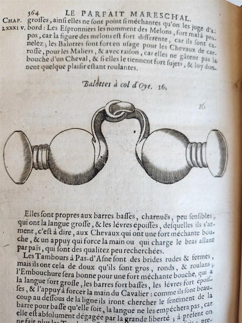 1680 COMPLEAT HORSEMAN antique ILLUSTRATED Le parfait mareschal by J. SOLLEYSEL - 13