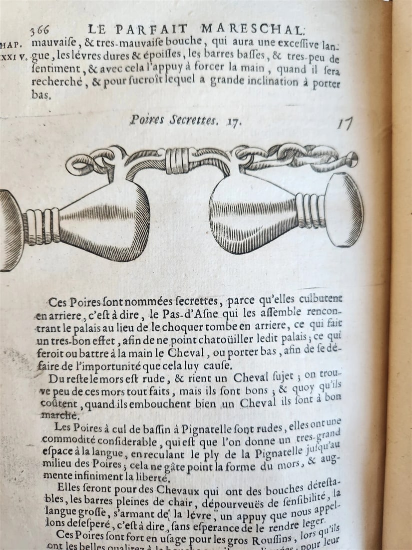 1680 COMPLEAT HORSEMAN antique ILLUSTRATED Le parfait mareschal by J. SOLLEYSEL - 14