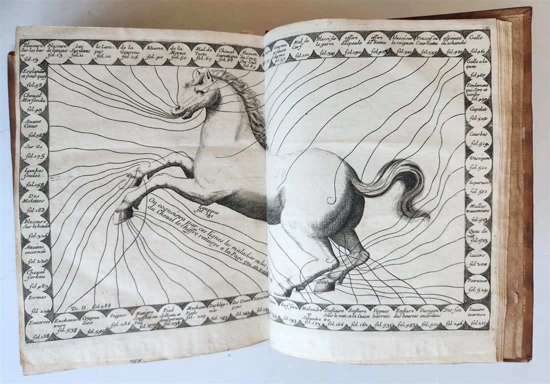 1680 COMPLEAT HORSEMAN antique ILLUSTRATED Le parfait mareschal by J. SOLLEYSEL: Title: 1680 COMPLEAT HORSEMAN antique ILLUSTRATED Le parfait mareschal by J. SOLLEYSEL Description: A nice copy of an authoritative work on horses SOLLEYSEL, [JACQUES DE] Le parfait mareschal. Paris: