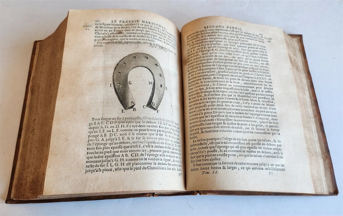 1680 COMPLEAT HORSEMAN antique ILLUSTRATED Le parfait mareschal by J. SOLLEYSEL - 5
