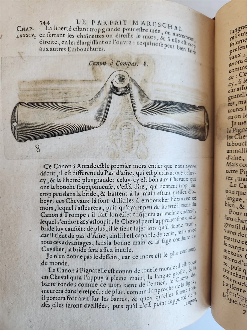 1680 COMPLEAT HORSEMAN antique ILLUSTRATED Le parfait mareschal by J. SOLLEYSEL - 6