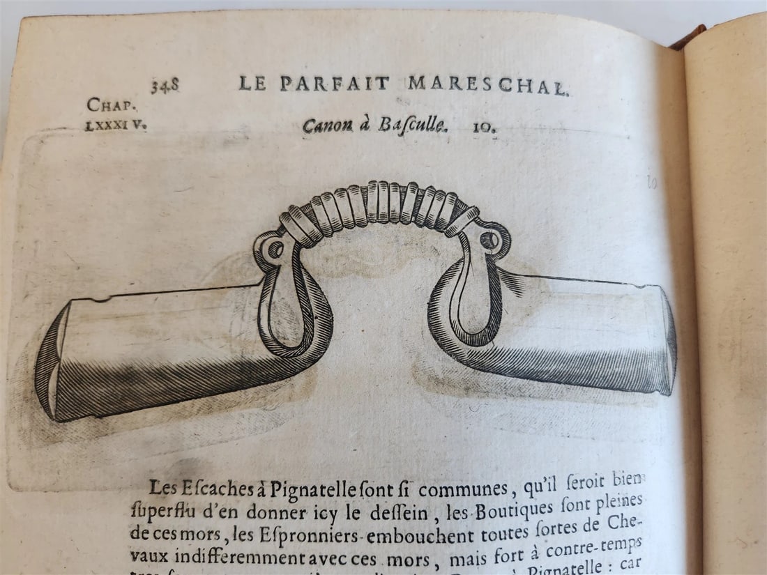 1680 COMPLEAT HORSEMAN antique ILLUSTRATED Le parfait mareschal by J. SOLLEYSEL - 8