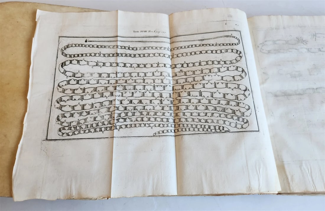 1733 MEDICAL TREATISE by ANTONIO VALLISNERI antique ILLUSTRATED 3 folio volumes - 11