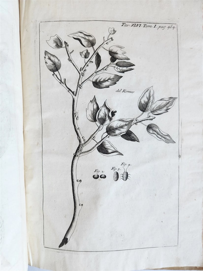 1733 MEDICAL TREATISE by ANTONIO VALLISNERI antique ILLUSTRATED 3 folio volumes - 12