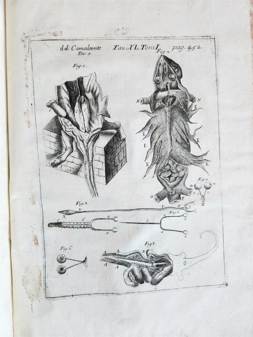 1733 MEDICAL TREATISE by ANTONIO VALLISNERI antique ILLUSTRATED 3 folio volumes - 13