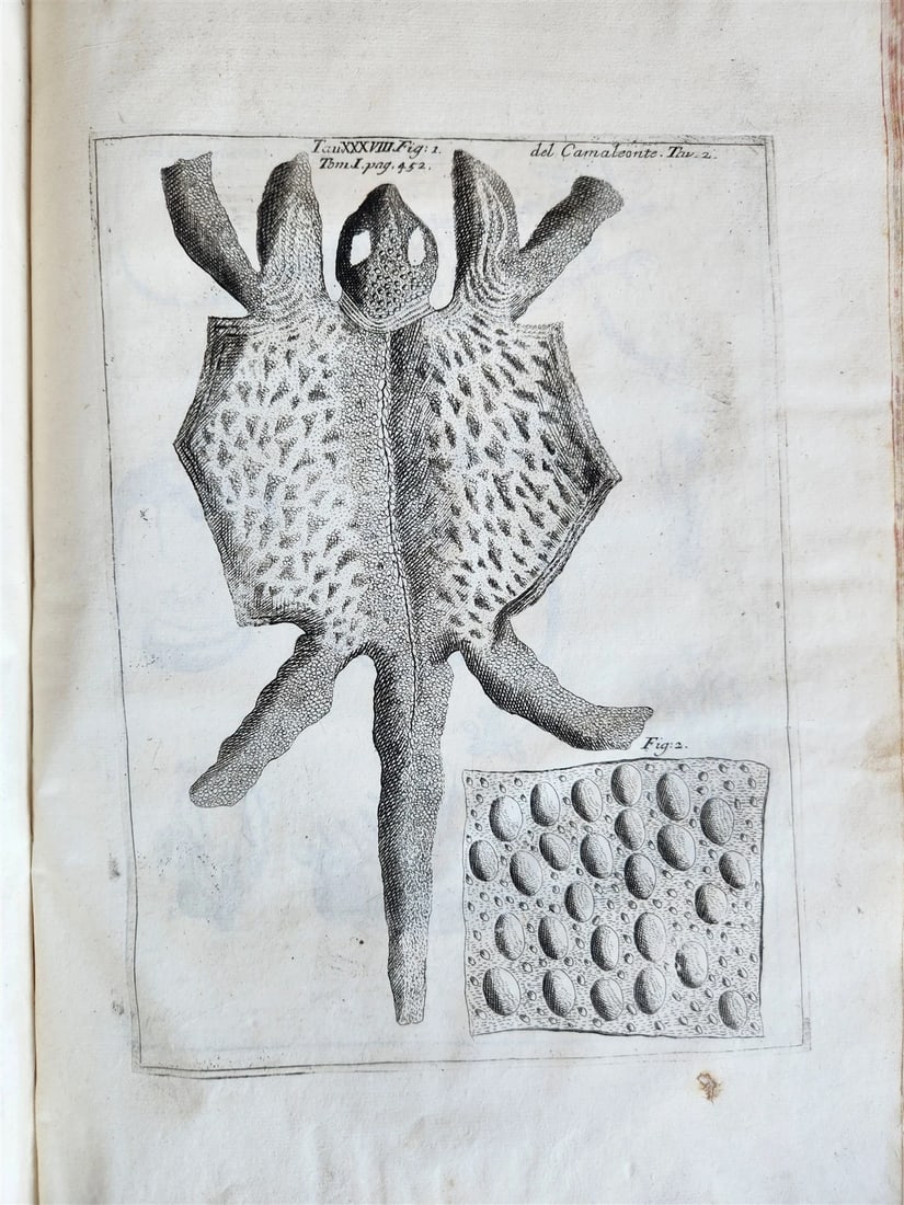 1733 MEDICAL TREATISE by ANTONIO VALLISNERI antique ILLUSTRATED 3 folio volumes - 14