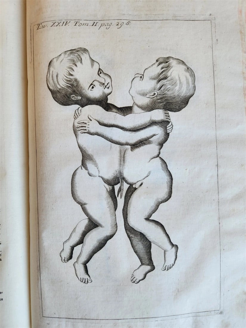 1733 MEDICAL TREATISE by ANTONIO VALLISNERI antique ILLUSTRATED 3 folio volumes - 4