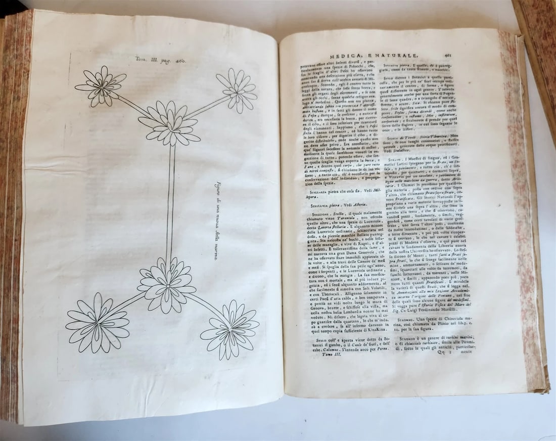1733 MEDICAL TREATISE by ANTONIO VALLISNERI antique ILLUSTRATED 3 folio volumes - 5