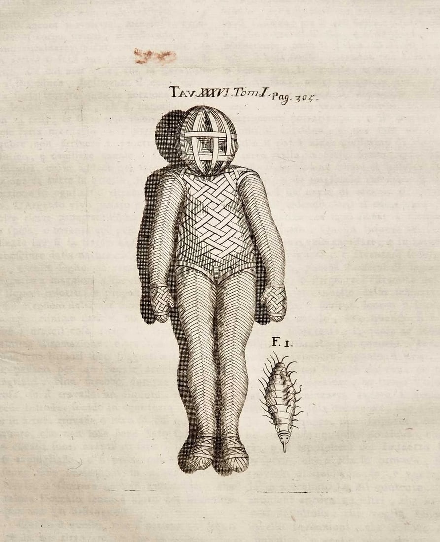 1733 MEDICAL TREATISE by ANTONIO VALLISNERI antique ILLUSTRATED 3 folio volumes - 6