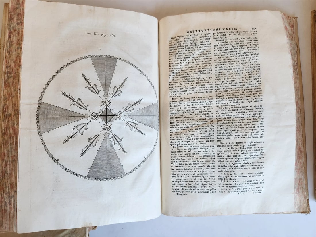 1733 MEDICAL TREATISE by ANTONIO VALLISNERI antique ILLUSTRATED 3 folio volumes - 7
