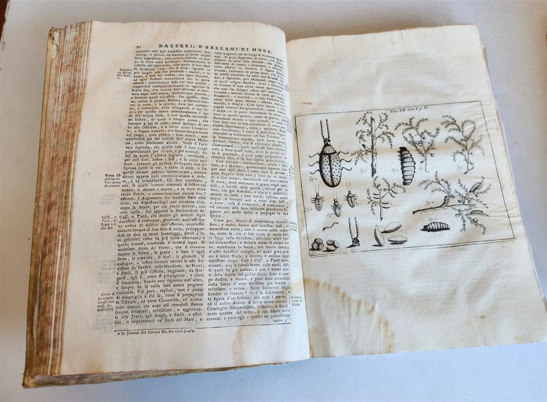 1733 MEDICAL TREATISE by ANTONIO VALLISNERI antique ILLUSTRATED 3 folio volumes - 8