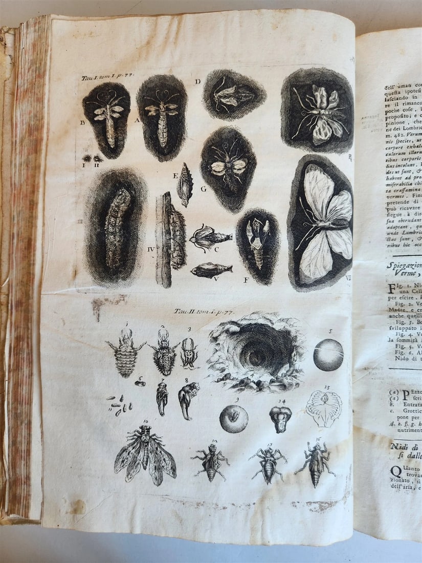 1733 MEDICAL TREATISE by ANTONIO VALLISNERI antique ILLUSTRATED 3 folio volumes - 9