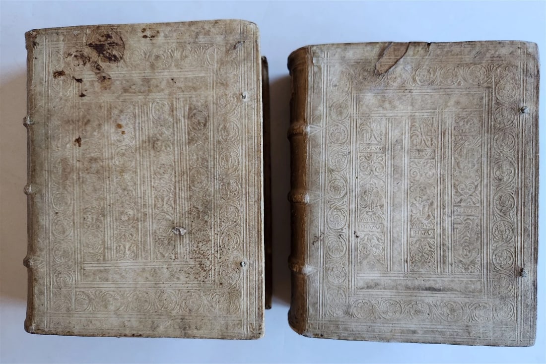 1581 ASTROLOGY & ASTRONOMY Ephemerides Johannes Stadius ANTIQUE 2 PIGSKIN VOLS - 6