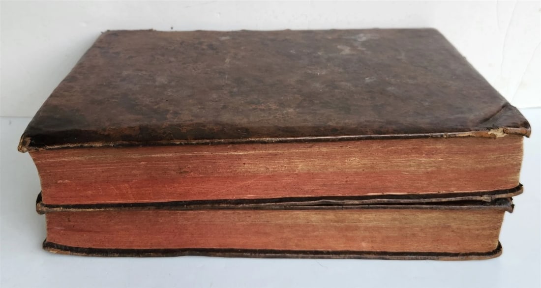 1734 BIBLE IN GERMAN ILLUSTRATED antique 2 FOLIO VOLUMES - 4
