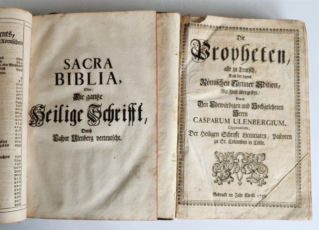 1734 BIBLE IN GERMAN ILLUSTRATED antique 2 FOLIO VOLUMES - 5