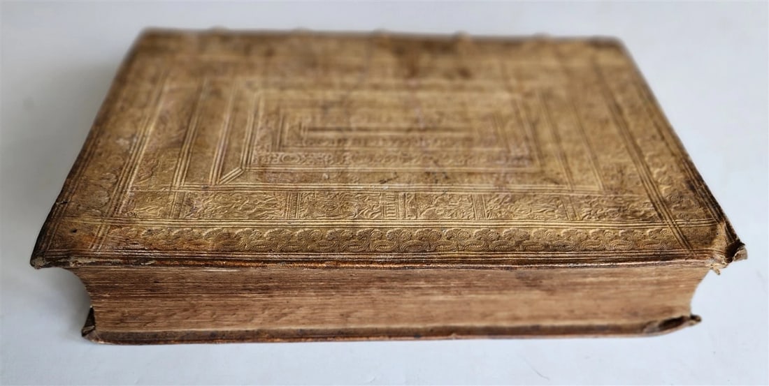 1566 LAW BOOK antique PIGSKIN FOLIO Decisions of Holy Royal Council of Naples - 3