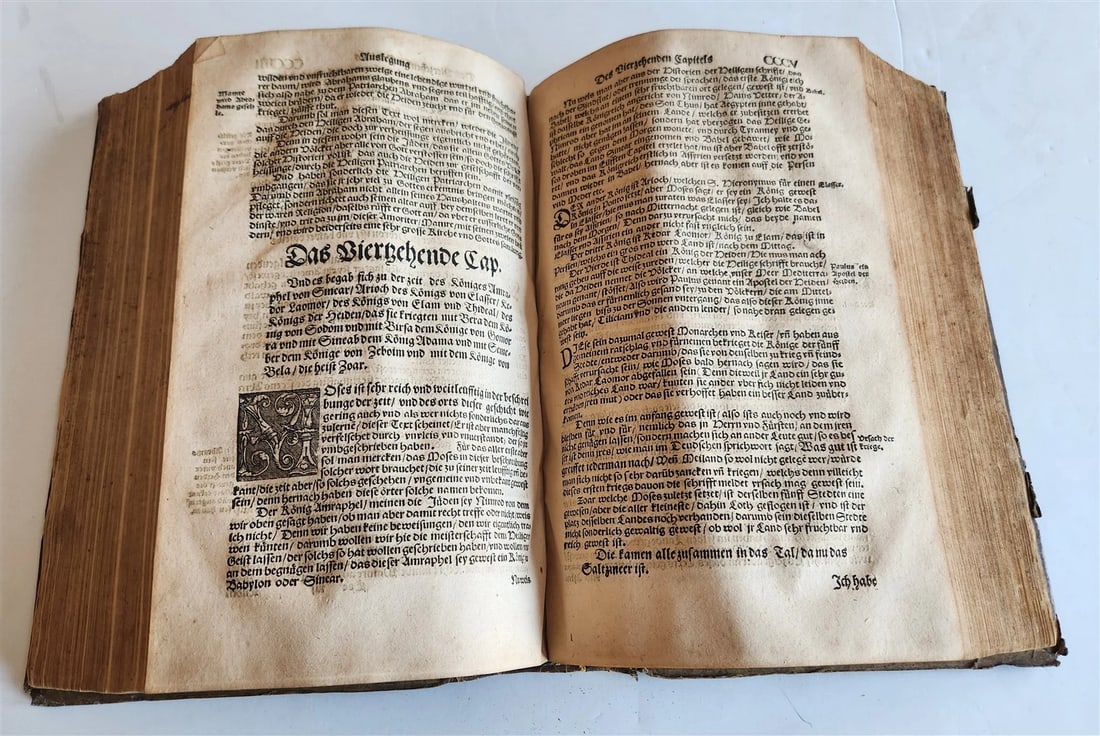 1558 MARTIN LUTHER WORKS PIGSKIN BOUND FOLIO in GERMAN antique - 7