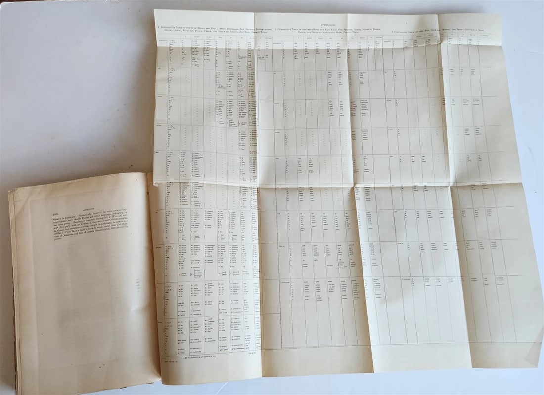 1906-1907 REPORT of the BUREAU of AMERICAN ETHNOLOGY antique ILLUSTRATED - 4