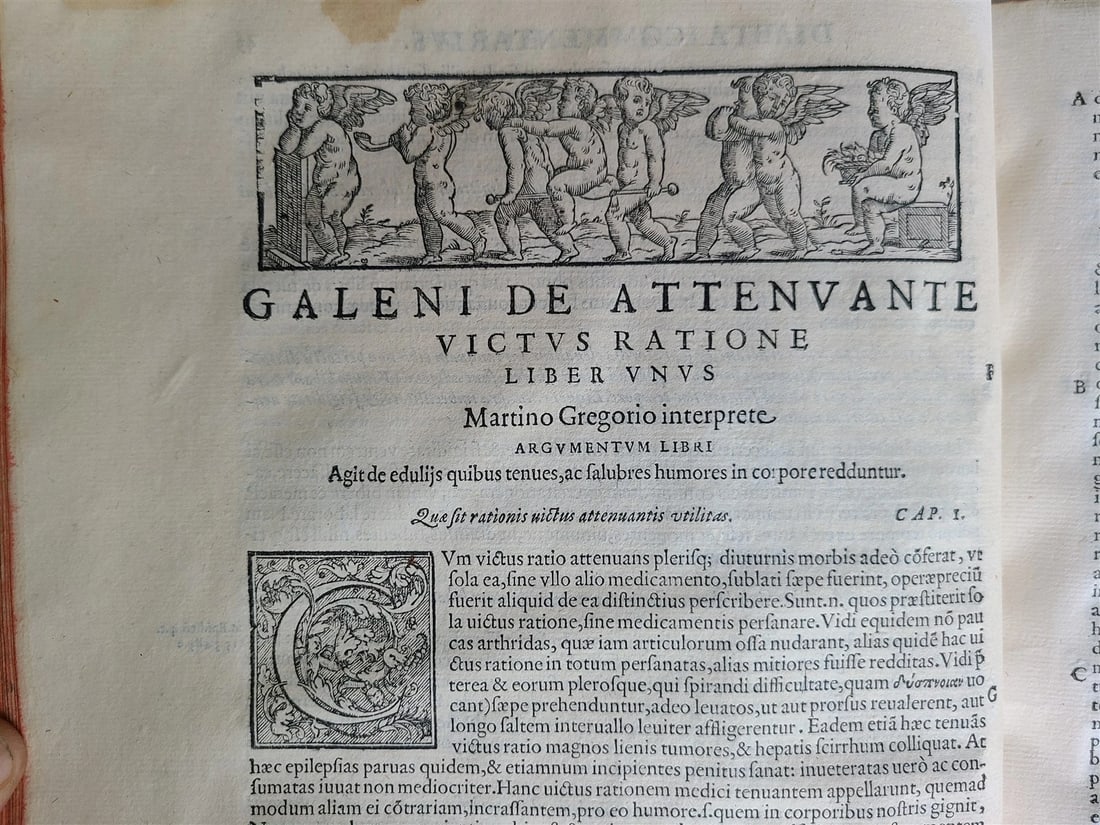1586 RENAISSANCE EDITION OF GALEN antique FOLIO 16th century FAMOUS MEDICAL WORK - 11
